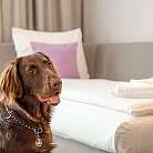 Hotel City Lugano
