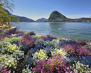 Lugano City