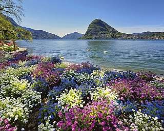 Lugano City